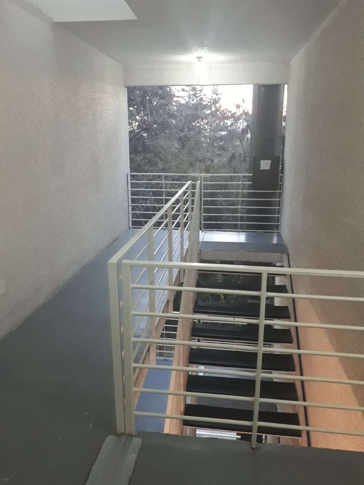 tania 1 1036_69c5431e1abdb.jpg